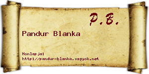 Pandur Blanka névjegykártya
